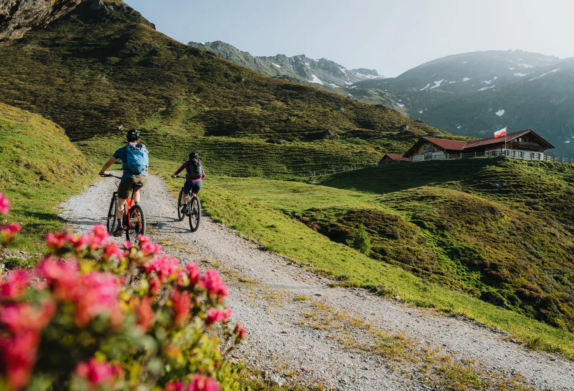 Mountainbiker auf dem Almweg im Navistal, gesäumt von Alpenrosen