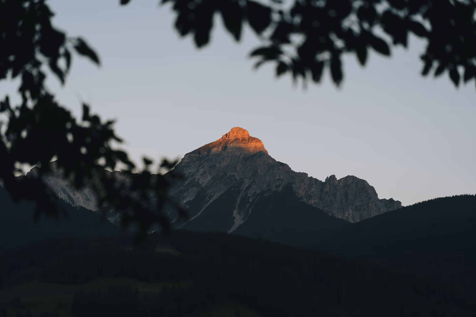 Sommerabend im Wipptal – letztes Alpenglühen auf einem Gipfel über bewaldeten Hängen