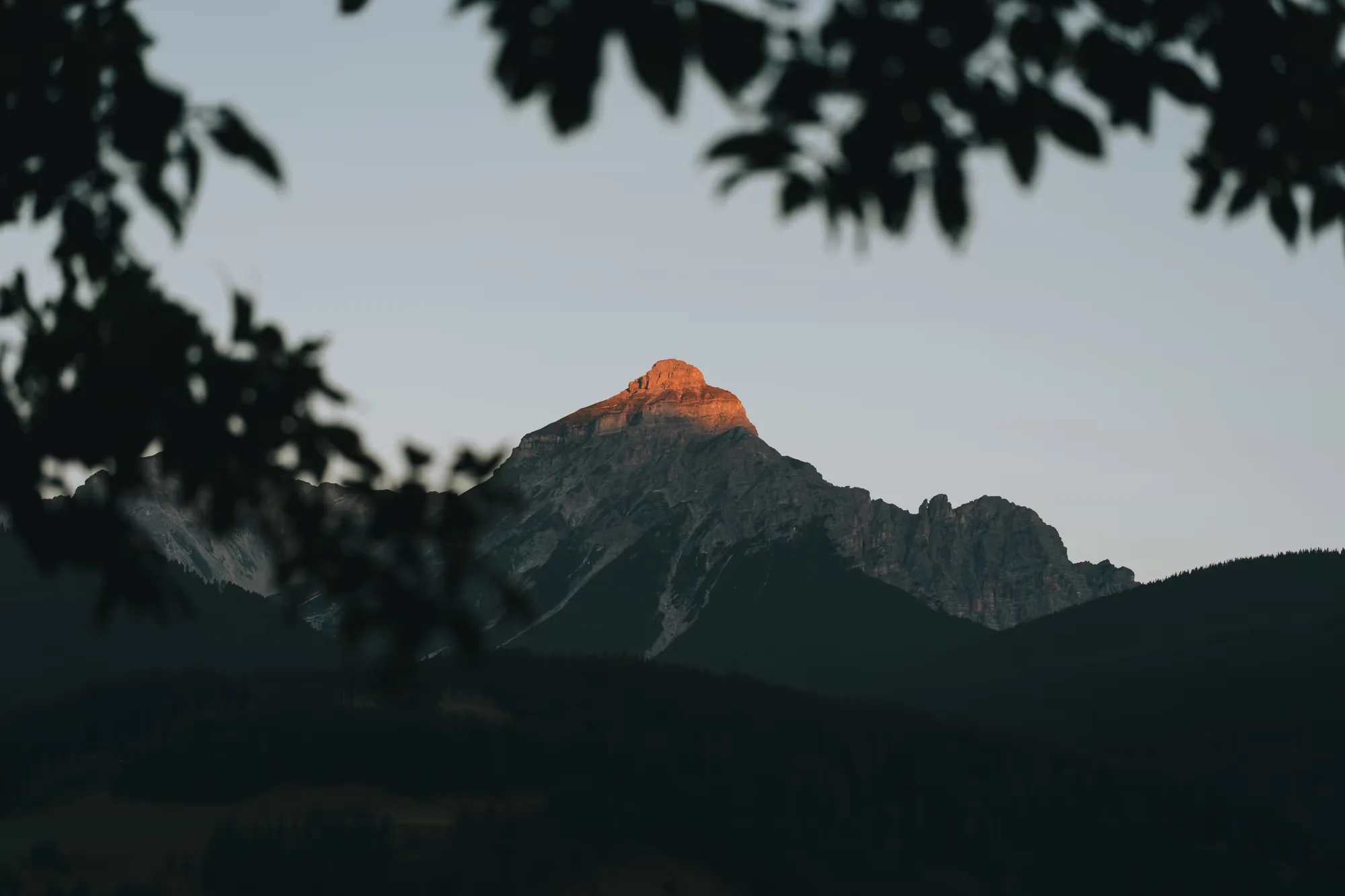 Sommerabend im Wipptal – letztes Alpenglühen auf einem Gipfel über bewaldeten Hängen